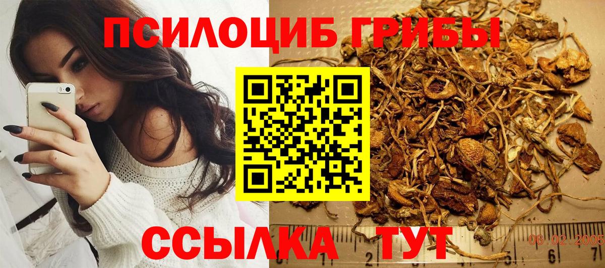 Галлюциногенные грибы Psilocybe  Галлюциногенные грибы Psilocybine cubensis  Холмск  Вход с VPN 