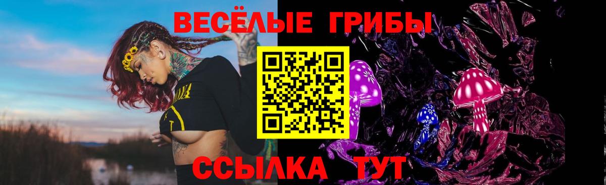 Галлюциногенные грибы Cubensis Холмск